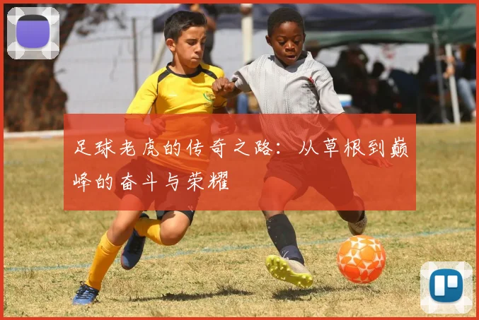 足球老虎的传奇之路：从草根到巅峰的奋斗与荣耀