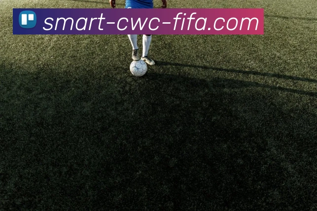 世界杯官网平台生态图